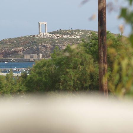 Vasiliki'S House Apartment Naxos City Luaran gambar