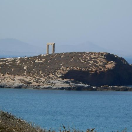 Vasiliki'S House Apartment Naxos City Luaran gambar