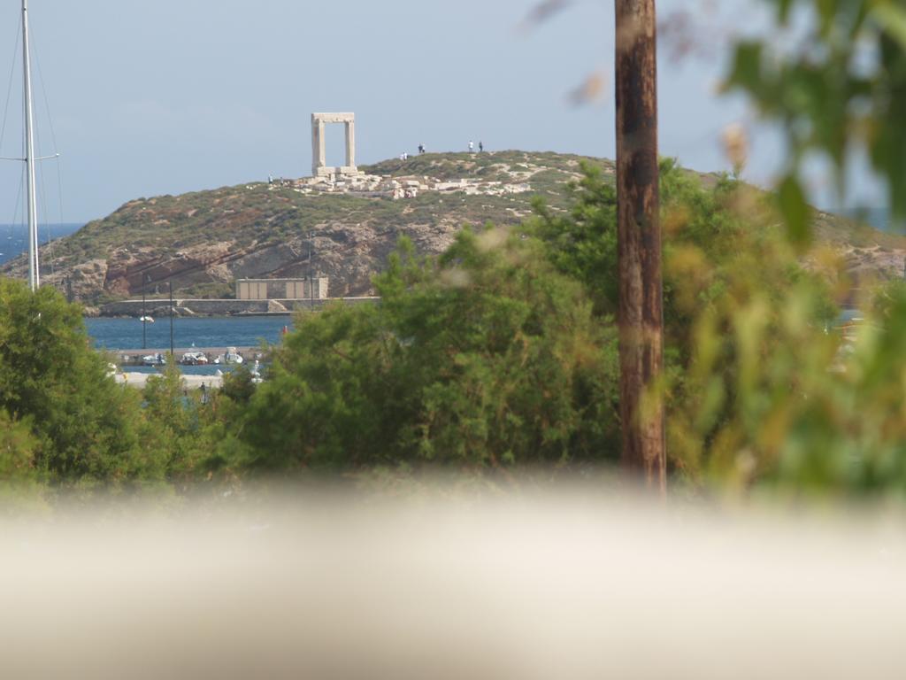 Vasiliki'S House Apartment Naxos City Luaran gambar